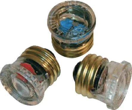 30A Edison Glass Fuse ESF30